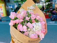 -溪岸路花鸟市场