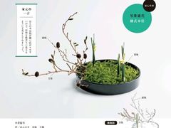 -今日陶艺(富力广场店)