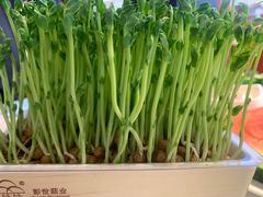 -巴邑火锅·鲜切牛肉(萧山银隆店)