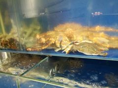 -烧货·活海鲜炭烧(湖滨商业街店)