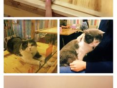 -小时光咖啡馆(开森度假森林店)