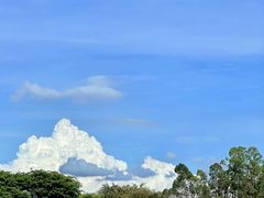 -番禺大夫山森林公园