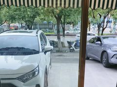 -金塔傣乡·云南民族特色菜·傣味手抓饭(金瓦路店)