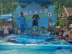 -苏州乐园森林水世界