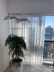 -HEYAN荷妍专业脱毛连锁机构