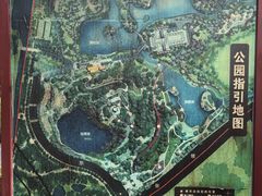 -王借岗森林公园