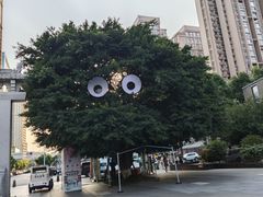 -铁像寺水街