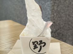 -野人先生Gelato(上海长宁龙之梦店)
