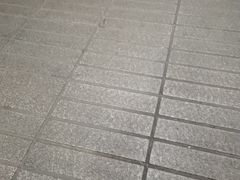 -巢爷老味(东方红店)