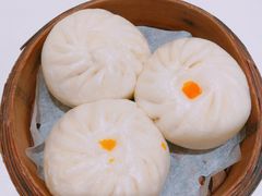 酱肉包-嘉和一品(新辰天地大兴南区店)