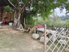 -BOILER博乐精酿(东坪山店)