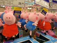 -麦德龙(京顺路商场店)