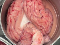 -晓沸牛肉海鲜小火锅(白湖亭万达广场店)