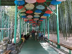 -陶祖圣境风景区