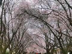 -秦始皇帝陵博物院(兵马俑)