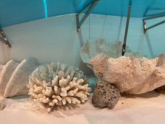 -中国（海南）南海博物馆