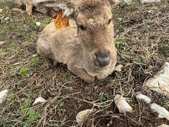 -吊水壶国家森林公园