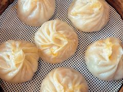 -百年尹氏汤包(湖南路狮子桥店)