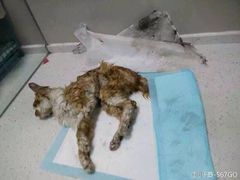 iphone_upload_pic-盛京一禾