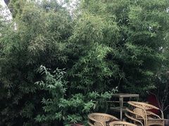 -茯茶镇