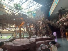 -安徽省地质博物馆