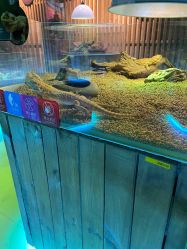 -七巧国萌宠乐园(龙湖天街店)