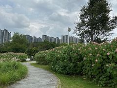 -广西壮族自治区药用植物园