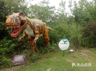 ****去哪里 农家乐走起 南京江宁县柏家村