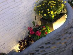 -天然居(伦教店)