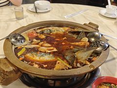 -安吉美渝石锅鱼(芜园西路店)