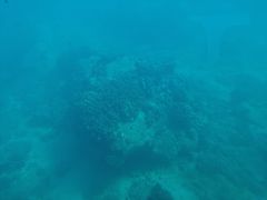 -亚龙湾海底世界