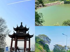 -黄埔油麻山森林公园