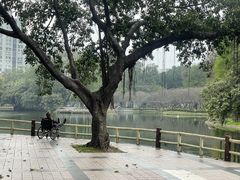 -晓港公园
