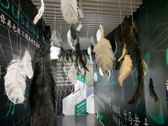 -星空失恋博物馆(双子塔旗舰店)