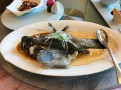 清蒸石斑鱼-蜈支洲岛珊瑚酒店临海阁中餐厅