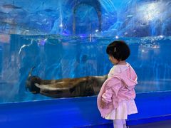 -欢乐海岸海洋奇梦馆