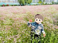 -菊园百果园
