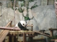 -深圳野生动物园