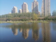 -前关湿地公园