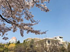 -第四食堂(中国海洋大学店)