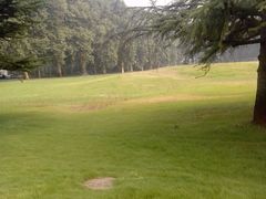 -河南省黄河迎宾馆