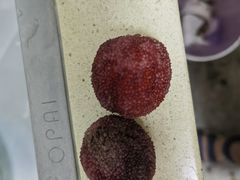 -果多美(三里河店)
