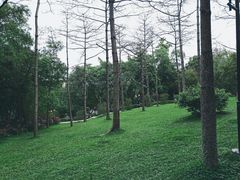 -云溪植物园