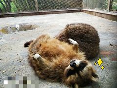 -西安秦岭野生动物园