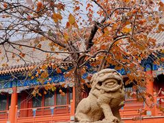 -北京石刻艺术博物馆(五塔寺)