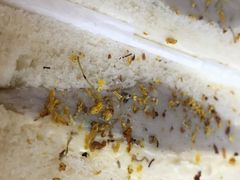 -啊噗吐呦现场烘焙(麦凯乐店)