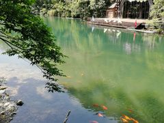 -祁门牯牛降观音堂风景区