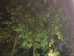 -大妙火锅·非物质文化遗产(东湖公园店)