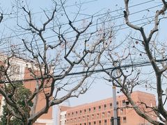 -上海市曹杨第二中学