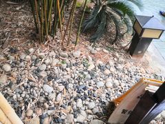 -咸宁万豪温泉谷度假区